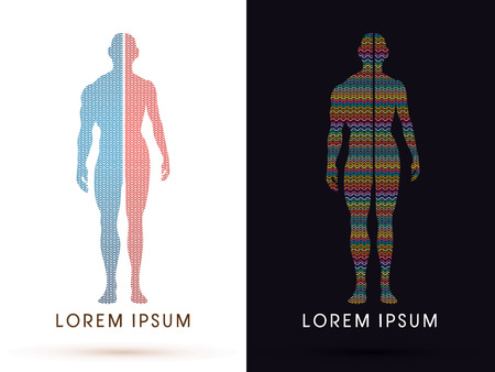 Half body , Male and female Anatomy, designed using colorful zigzag line, graphic vector.のイラスト素材