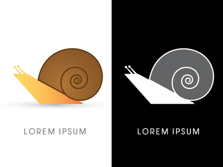 Snail isolated, graphic vector.のイラスト素材