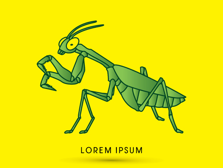 Mantis, Mantodea grasshopper graphic vectorのイラスト素材