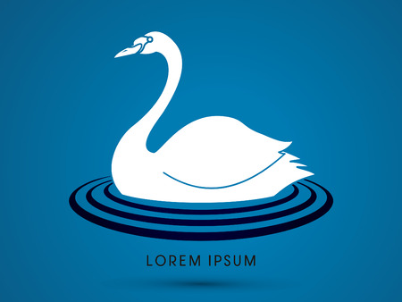 Swan swimming graphic vectorのイラスト素材