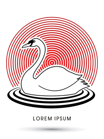 Swan swimming designed on line sunlight background graphic vectorのイラスト素材