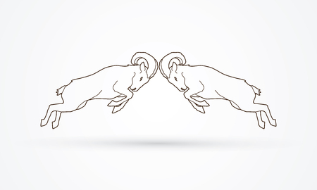 Ibexes fighting outline graphic vector.のイラスト素材