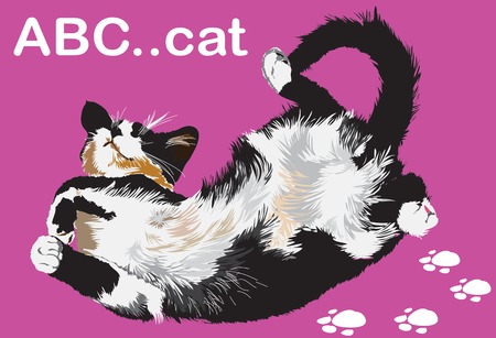 lying cat on purple background illustrationのイラスト素材