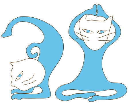 Blue cat yoga exercise for good shapeのイラスト素材
