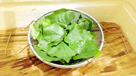 Gourd Fresh Vegetables in Stainless steel sieve on teak wood around are yellow color soft tone.の写真素材