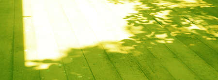 Blur background shiny leaves on wooden floor and sunlight.の写真素材