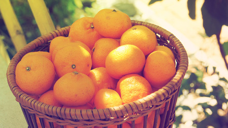 Orange fruit small size in basket retro photo with background is garden bokeh blur has sun lighting nice shot.の写真素材