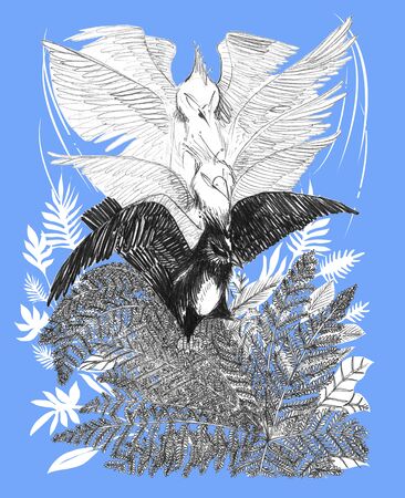 Song bird flying down to the fern in forest pencil stroke drawn acting step slow motion animation art illustration design black and white has clipping paths.の写真素材