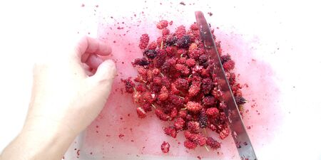 Chef uses a knife to cut Mulberry into small pieces. The process of making mulberry juice (fresh...