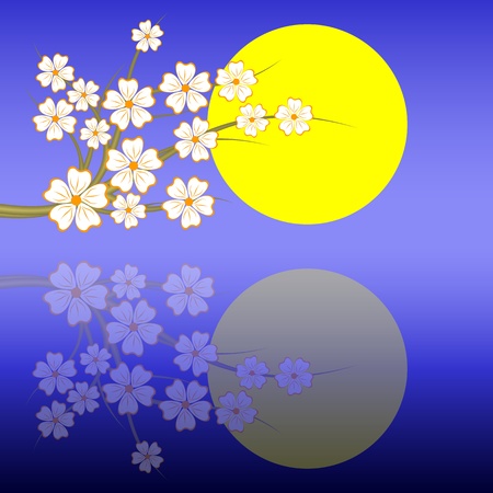 Blossoming oriental cherry against the moon in the night sky.のイラスト素材
