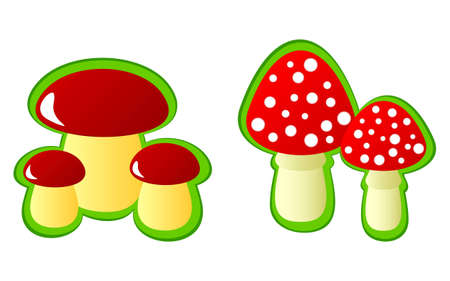 Isolated mushrooms on a white background. On a picture edible mushrooms and fly agarics are represented.のイラスト素材