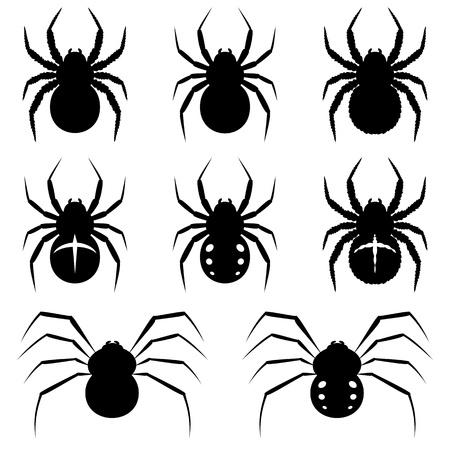Set black spiders on white background.のイラスト素材