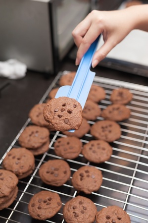 fresh chocolate chip cookiesの写真素材