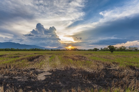 dramatic sky in burned farmlandの写真素材