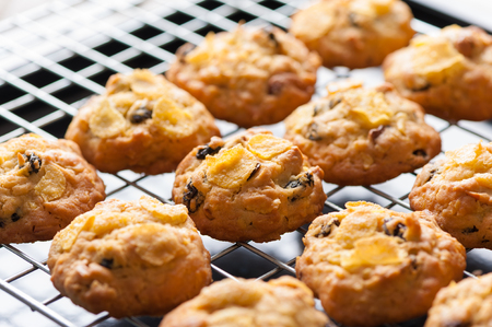 Raisin and cornflake cookies on tray.の写真素材