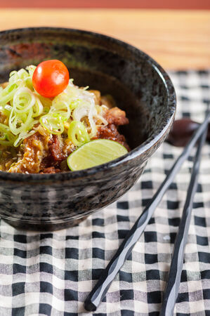 Rice with fried chicken, japanese style sauce and spring onionの写真素材