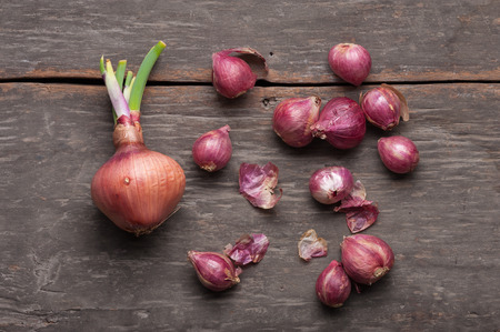 Shallots (red onion) set up on wood table with low key scene.
