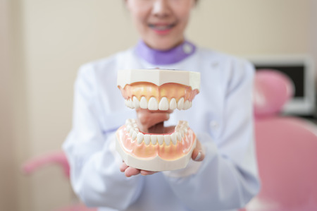 Female dentist explain about brushing teeth in clinic. Health care and maintenance with expert conceptの写真素材