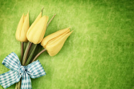 three yellow easter tulips and bow on green background, selective focusの写真素材