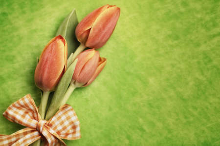 orange easter tulips on green background with bow, selective focusの写真素材