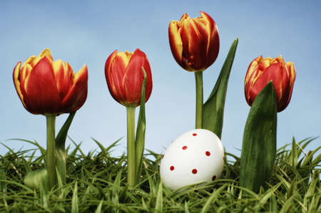red tulips and easter egg arrangement on green grassの写真素材