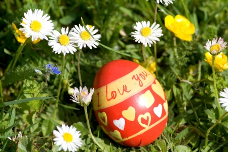 Red easter egg lying in springflower covered meadow "I love you"の写真素材