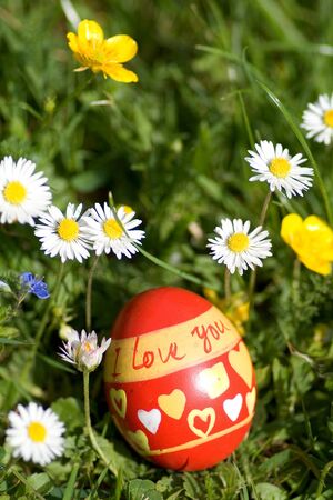 Red easter egg lying in springflower covered meadow "I love you"の写真素材