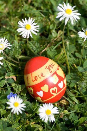 Red easter egg lying in springflower covered meadow "I love you"の写真素材