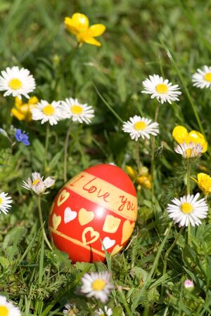 Red easter egg lying in springflower covered meadow "I love you"の写真素材