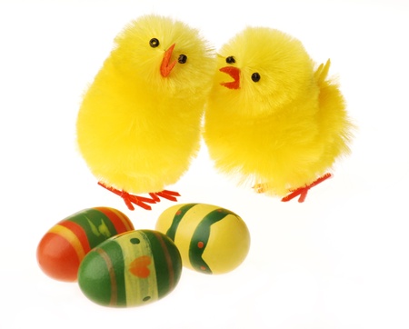 Two Easter Chicken communicating, white backgroundの写真素材