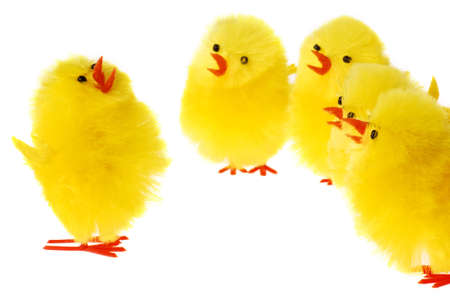 Easter Promulgation on white backgroundの写真素材