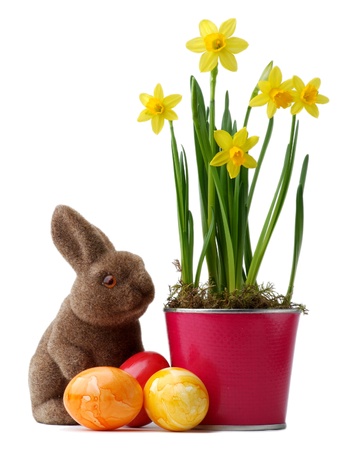 Yellow daffodils with easter bunny and easter eggs decoration
の写真素材