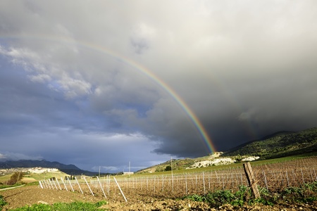 Sicilian winter vineyard landscape with beautiful rainbowの写真素材