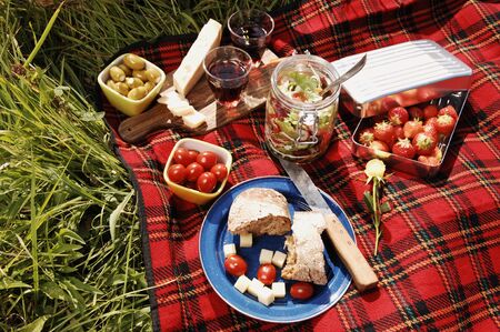 picnic with diffferent sorts of snacks on a blanketの写真素材