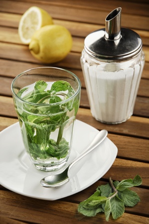 Mint tea of fresh leavesの写真素材