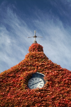 Ivy covered roof of an old house with clock and compass in autumnの写真素材
