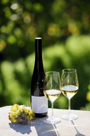 Two glasses of white wine (Riesling) and bottle in vineyardの写真素材