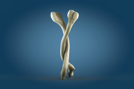 Two human thigh bones hugging each other. Osteoporosis world day or retirement age and health or love your bones concept. 3D illustrationの写真素材