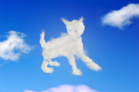 Cat in a shapes of clouds in the skyの写真素材