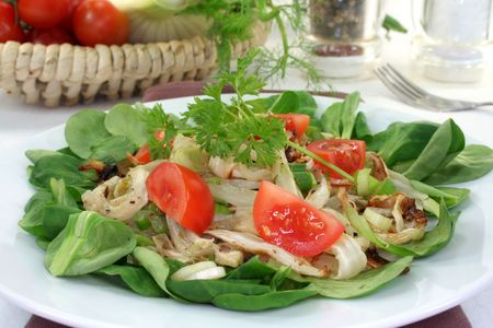 Salad of roasted fennel with tomato and spring onionsの写真素材