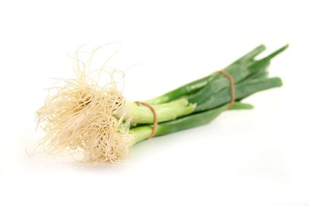 a bunch of spring onions on a light backgroundの写真素材