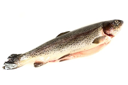 a raw trout on a white backgroundの写真素材