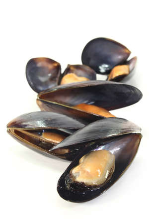 fresh cooked mussels on a of white backgroundの写真素材