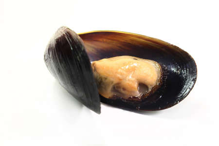 fresh cooked mussels on a of white backgroundの写真素材