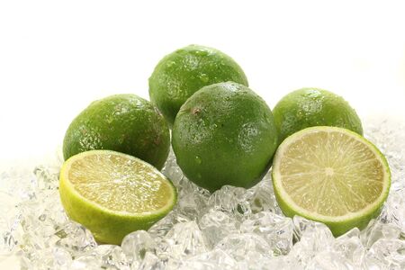 fresh lime on iceの写真素材
