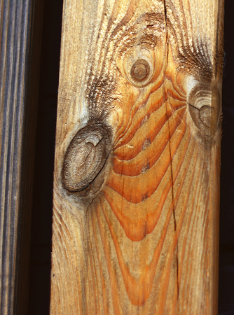 Wooden board with a bough, funny face with eyes, red resinの写真素材