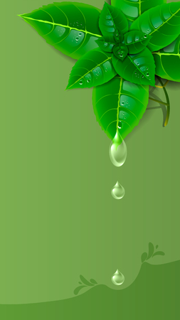 Sprig of fresh mint with drops on a green background. Wallpaper for the screen. Vertical.のイラスト素材