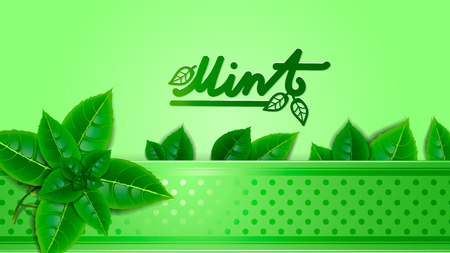 Background of fresh mint leaves with green ribbon and beautiful inscription. Wallpaper, design element.のイラスト素材