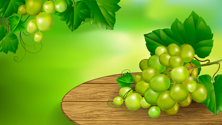Beautiful bunch of grapes on a wooden board. Advertising banner or label.のイラスト素材