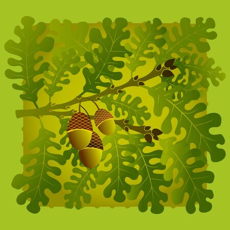Green oak branches with acorns. Autumn illustration or postcard.のイラスト素材
